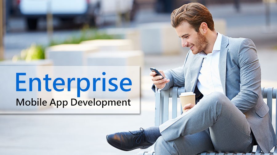 Enterprise-Mobile-App-Development