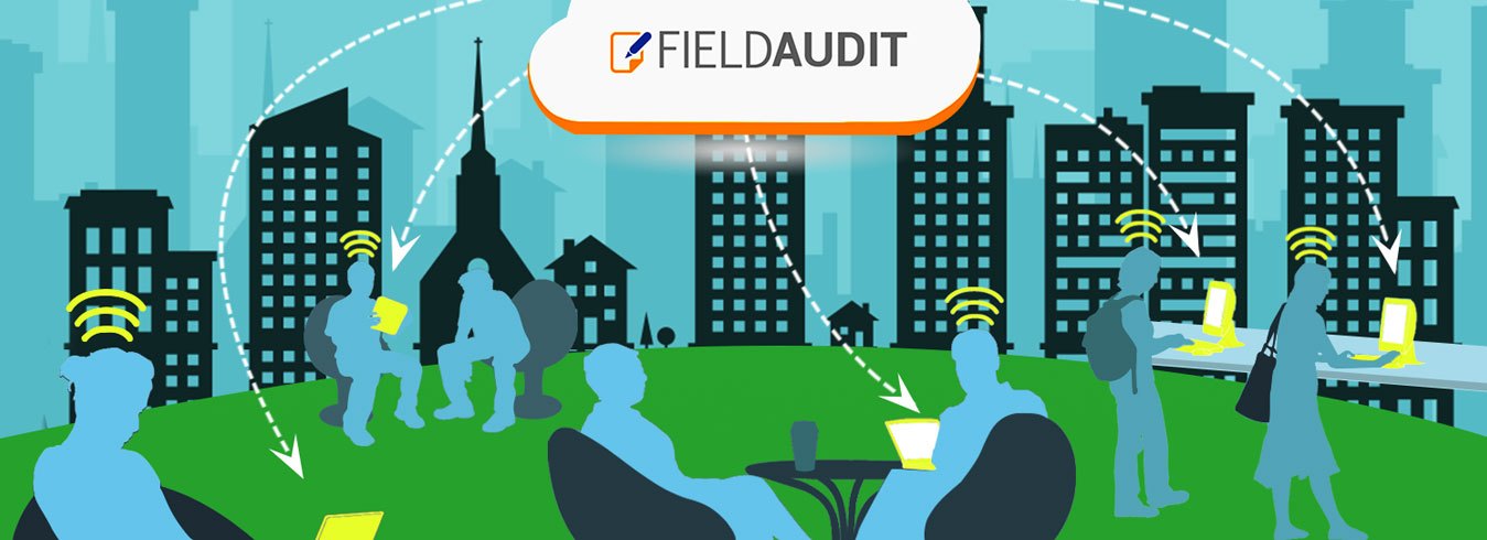 Field Audit 1 Field-Audit-1500x1500