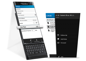 BlackBerry-App-Development-At-a-Glance-1