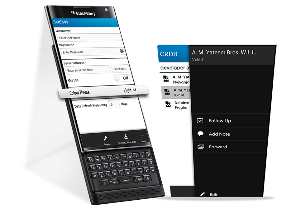 BlackBerry-App-Development-At-a-Glance-1