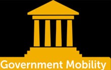 government