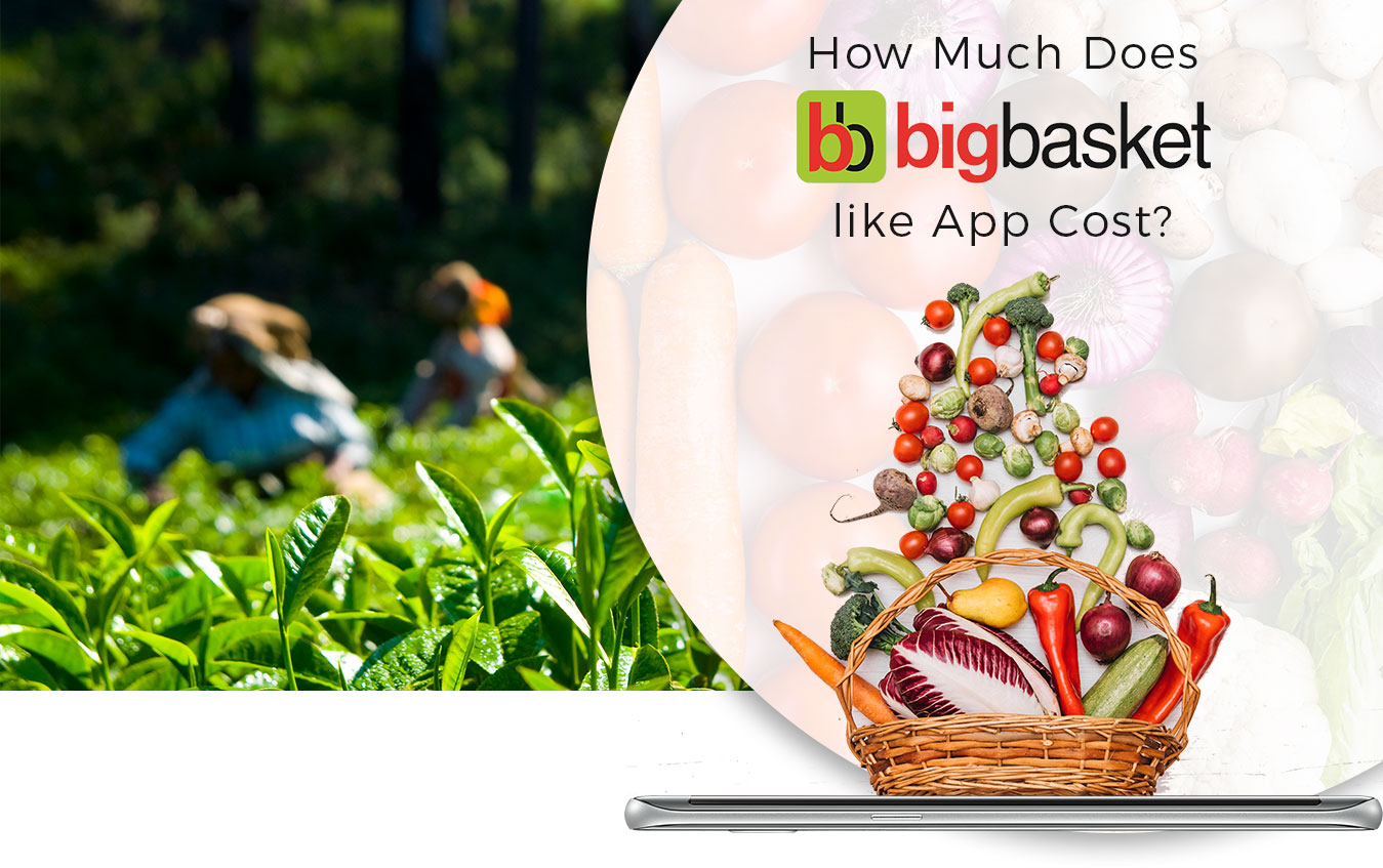 How Much Does it Cost to Develop an App like Big-basket