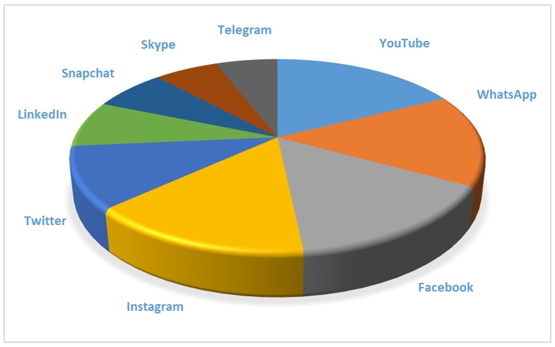 social media users